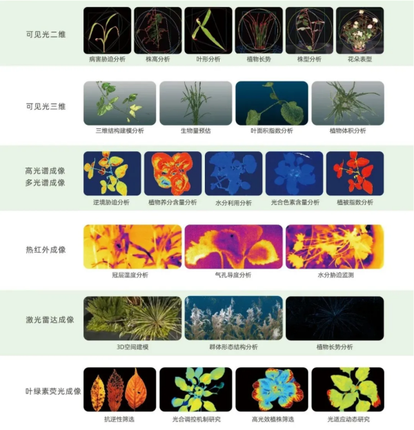 1756890425712005.png 图片2_副本.png