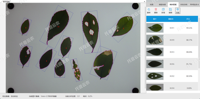 1757057580934104.png 残叶匹配.png