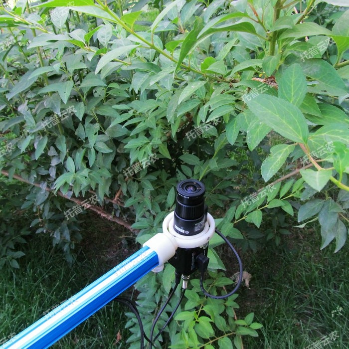 1757057856456110.jpg 植物冠层TOP-1300.JPG